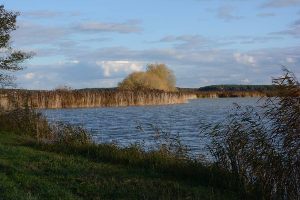 wanderung-poppenwind-karpfen-weiher