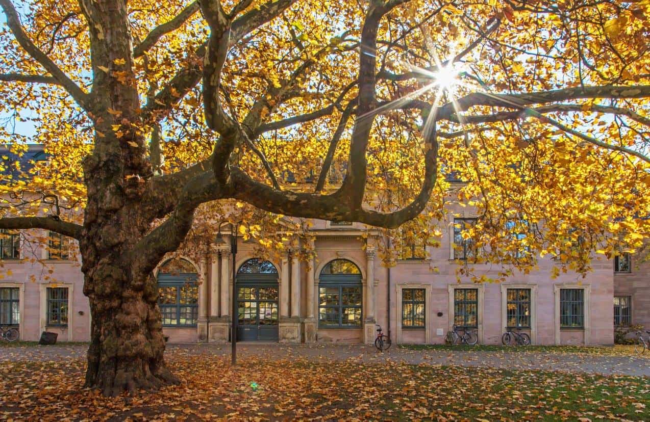 Schlossgarten im Herbst
