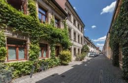 Straße mit grün bewachsenen Häusern in Erlangen