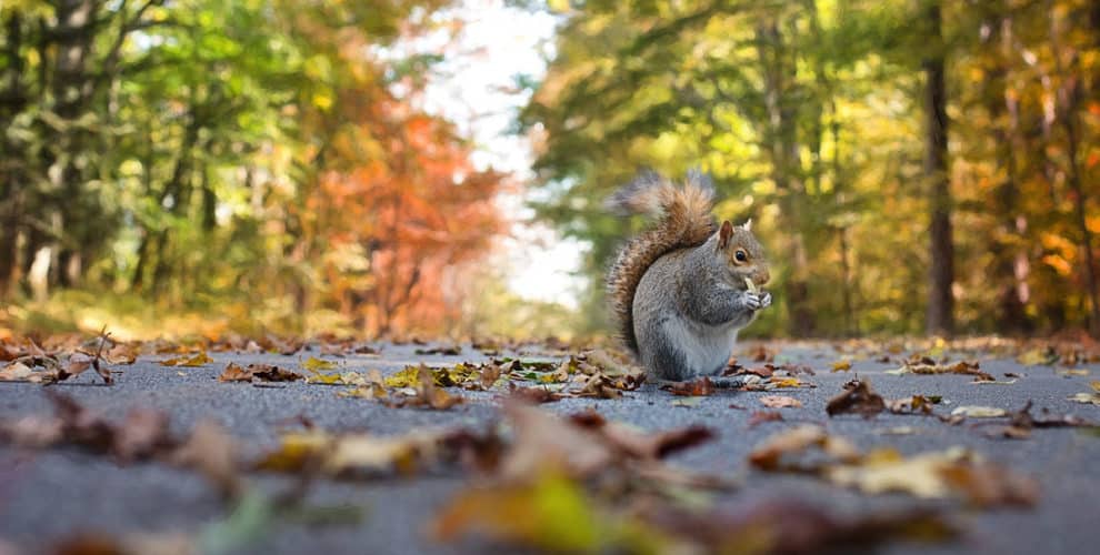 17 Dinge Die Du Im Herbst In Erlangen Unternehmen Kannst